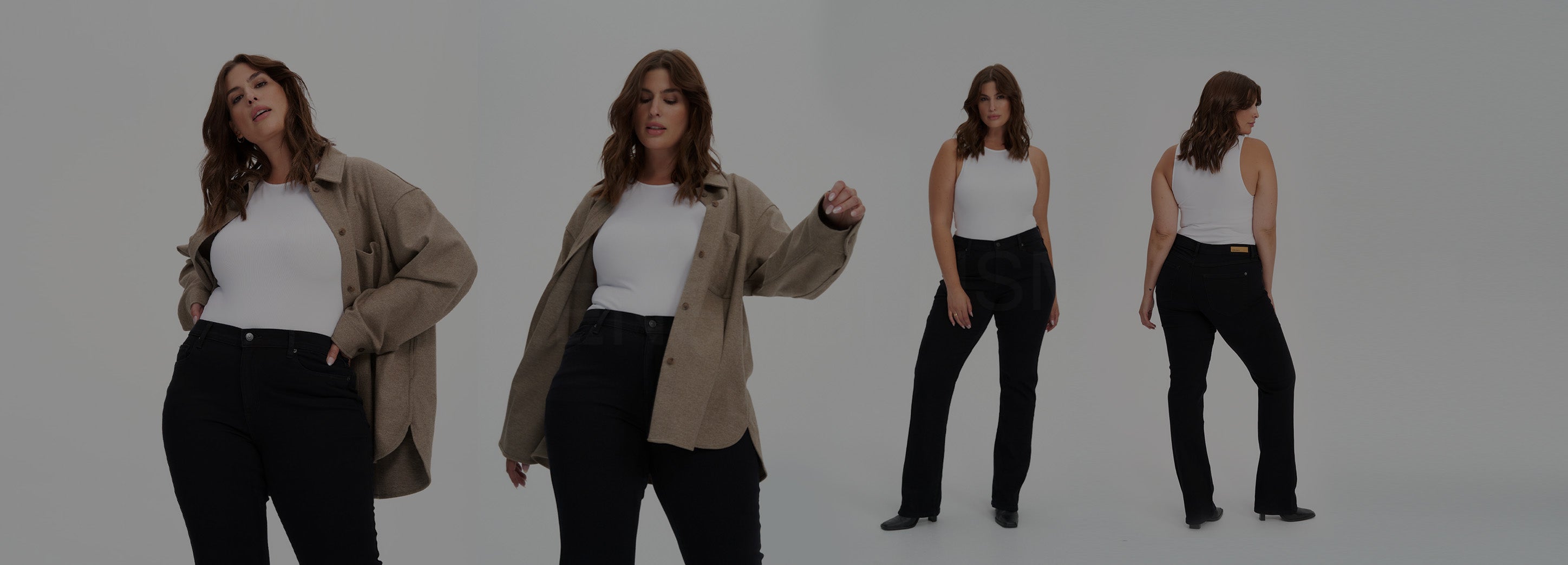 The Curve Collection